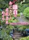 鎌倉のあじさいと名花名木めぐり 鎌倉のあじさいと名花名木めぐり
