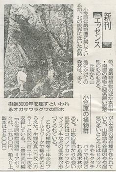 1981年10月19日 朝日新聞