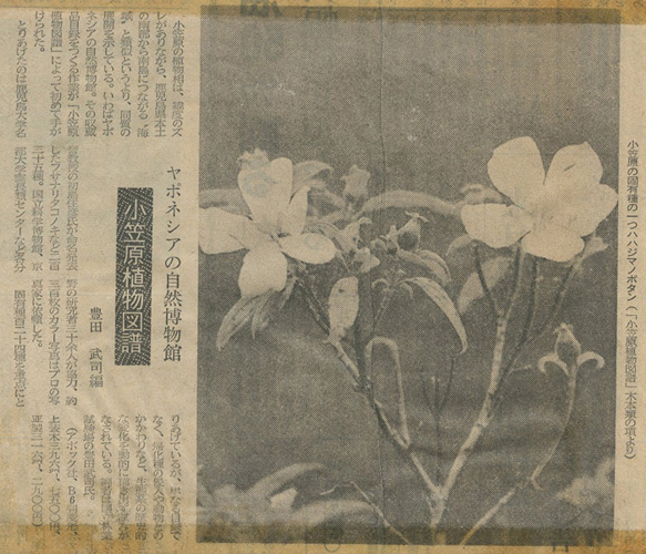 1981年10月27日 南日本新聞