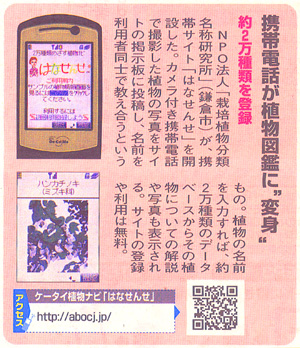 2005年7月23日 毎日ケータイ新聞