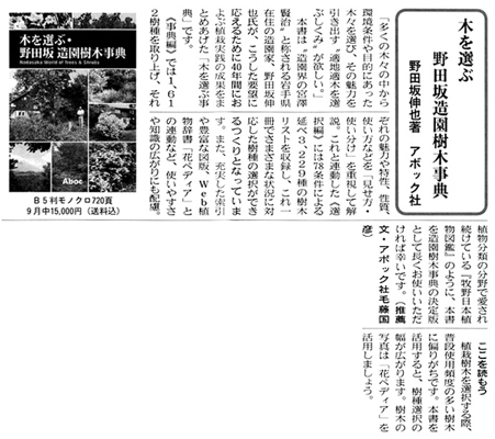 記事画像
