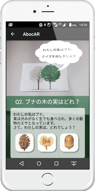 「ブナの木の実はどれ？」ARスマホ画面