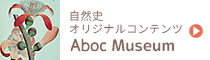 自然史オリジナルコンテンツ　Aboc Museum