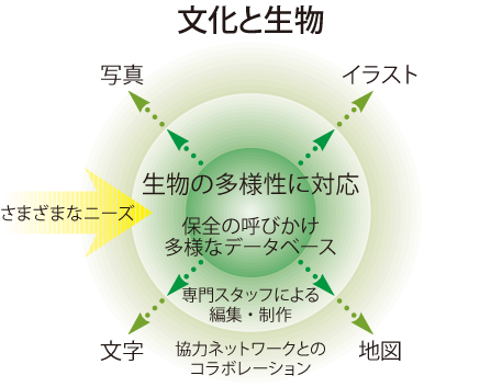 文化と生物