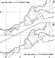 Fig.4. Changes of existence of Nymphaea tetragona in between 1982 and 1998. 
A: Newly appeared
B: Disappeared