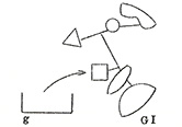 ④ 我々が認識しうる種GのイメージはGⅠである。