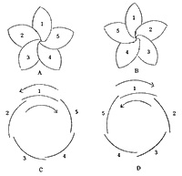 図−1