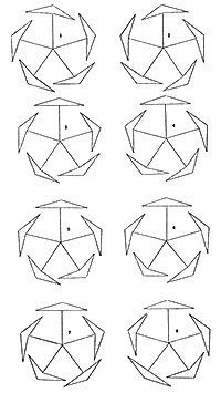 花弁の重なり方