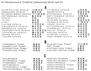 Tab.2　Descriptive terms of “Corolla” (A), “pollination type” (B) and “tepal” (C).