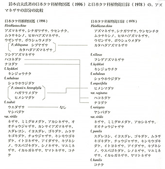 鈴木貞夫氏著の日本タケ科植物図鑑（1996）と日本タケ科植物総目録（1978）の、アズマネザサの部分の比較