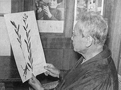 昭和11年(1936)5月27日、東大泉。ムラサキの標本をみる牧野先生（写真提供・西原）