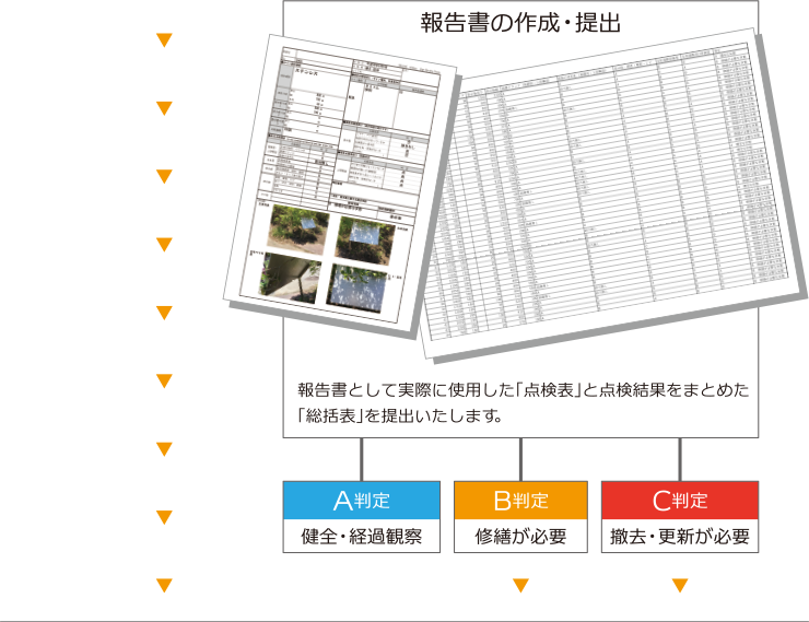 報告書の作成・提出