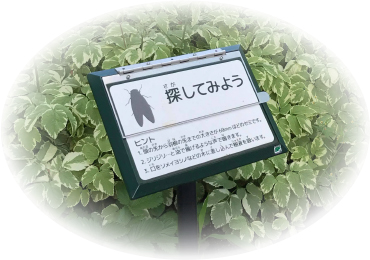 南池袋公園※