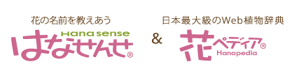 - 花の正しい名前を聞く、調べる環境サイト - はなせんせ ＆ - 日本最大級のWeb植物辞典 - 花ペディア