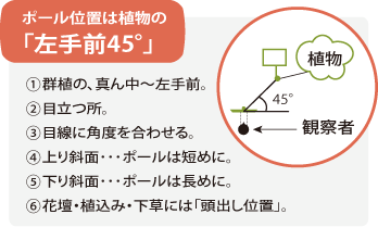 ポール位置は植物の「左手前45℃」1.群植の、真ん中～左手前。2.目立つ所。3.目線に角度を合わせる。4.上り斜面…ポールは短めに。5.下り斜面…ポールは長めに。6.花壇・植込み・下草には「頭出し位置」。