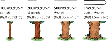 100mmスプリング…細い木（幹周20cmまで）　200mmスプリング…普通の木（幹周20～50cm）　500mmスプリング…太い木（幹周50～1.5m）　1mスプリング…非常に太い木（幹周1.5～3m