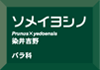 角でか字™ラベル
