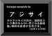 Dタイプ
