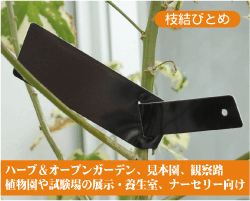 超シリーズ