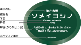 楕円解説ラベル