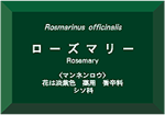 ハーブラベル