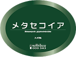 ii解説タイプ