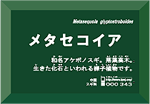 ii解説タイプ
