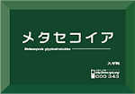 ii解説タイプ