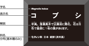 角解説ラベル