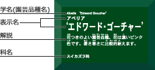 角解説ラベル 園芸品種