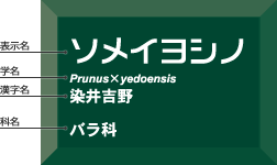 角でか字ラベル