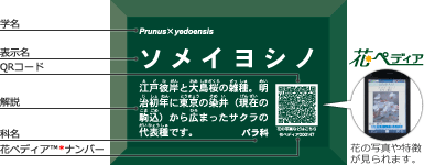 角解説QRラベル
