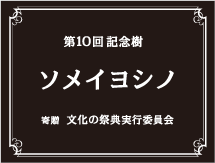 記念樹ラベル