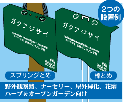 雲シリーズ