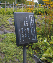 ラベルレイアウトサンプル