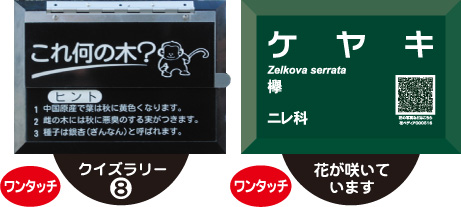 ラベルレイアウトサンプル