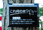 クイズ学習ラベル