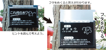 ラベルレイアウトサンプル