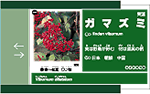 差し替え 絵入りタイプ