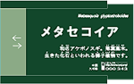 差し替え 解説タイプ