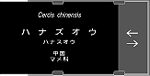 M-8名刺大