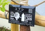 第五砂町小学校(東京都江東区)