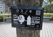 東京ドーム(東京都文京区)