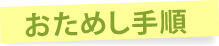 お試し手順