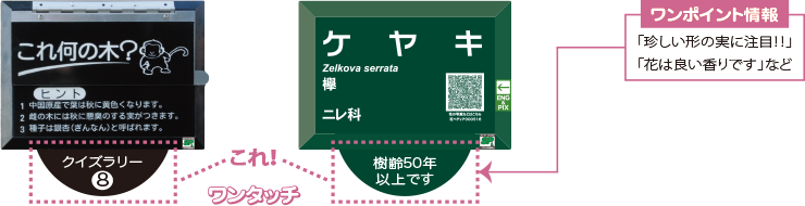 オプションラベル