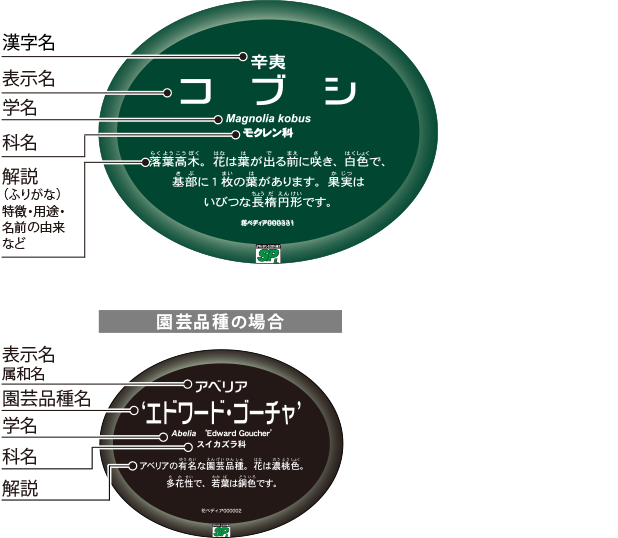 楕円解説ラベル