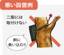 悪い設置例：二股には取付けない、幹に食い込む！！