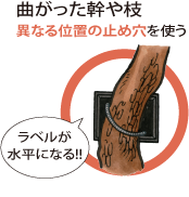 良い設置例：曲がった幹や枝→異なる位置の止め穴を使う、ラベルが水平になる