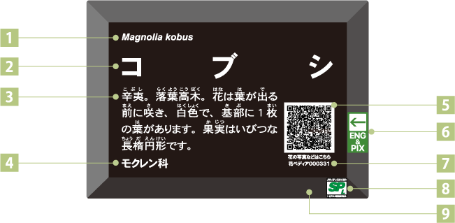 ORコードについて：　コブシ（Magnolia kobus）辛夷。落葉高木で出葉前に開花。花は白色で基部に1枚の葉があります。果実はいびつな長楕円形です。モクレン科。花の写真などはこちら　花ペディア000331