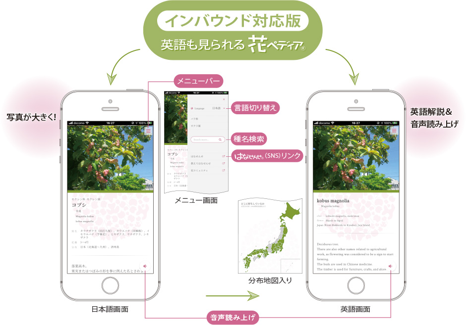 インバウンド対応版　英語も見られる花ペディアにバージョンアップしました！！　写真が大きく！英語解説＆音声読み上げ